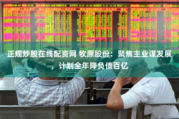 正规炒股在线配资网 牧原股份：聚焦主业谋发展，计划全年降负债百亿