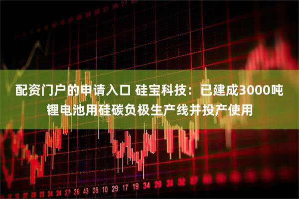 配资门户的申请入口 硅宝科技：已建成3000吨锂电池用硅碳负极生产线并投产使用